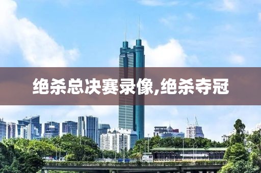 绝杀总决赛录像,绝杀夺冠