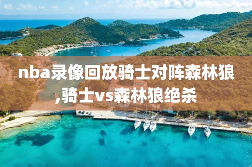 nba录像回放骑士对阵森林狼,骑士vs森林狼绝杀