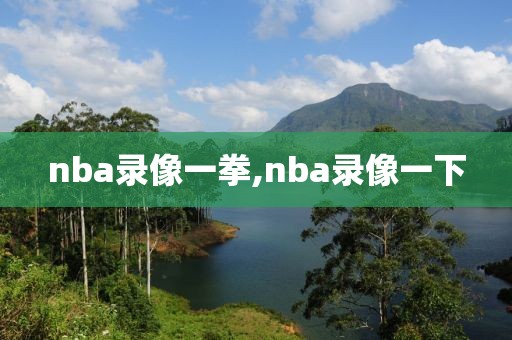 nba录像一拳,nba录像一下