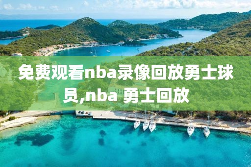 免费观看nba录像回放勇士球员,nba 勇士回放
