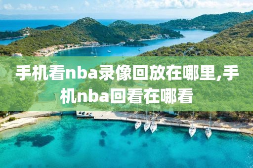 手机看nba录像回放在哪里,手机nba回看在哪看