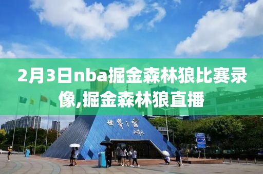 2月3日nba掘金森林狼比赛录像,掘金森林狼直播