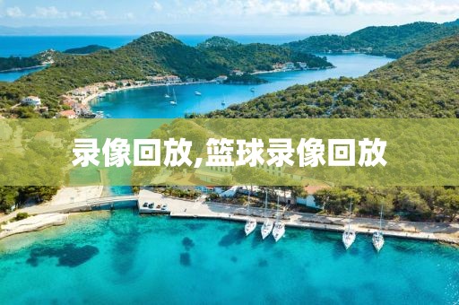 录像回放,篮球录像回放