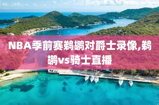 NBA季前赛鹈鹕对爵士录像,鹈鹕vs骑士直播