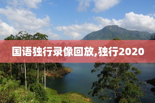 国语独行录像回放,独行2020