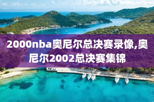 2000nba奥尼尔总决赛录像,奥尼尔2002总决赛集锦