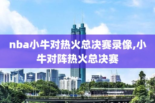 nba小牛对热火总决赛录像,小牛对阵热火总决赛