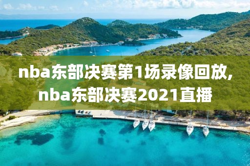 nba东部决赛第1场录像回放,nba东部决赛2021直播