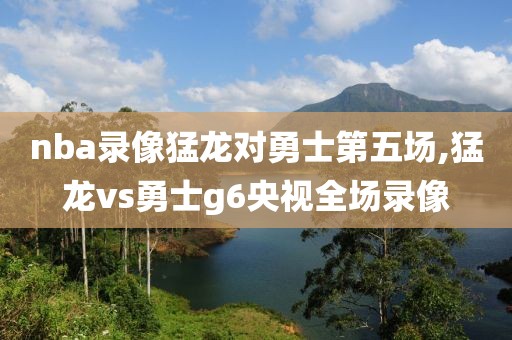 nba录像猛龙对勇士第五场,猛龙vs勇士g6央视全场录像