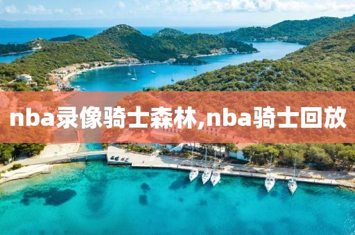 nba录像骑士森林,nba骑士回放