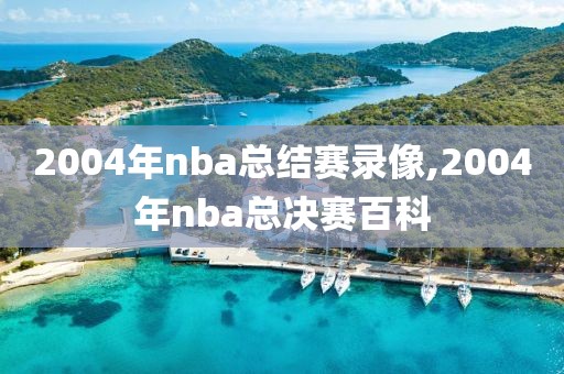 2004年nba总结赛录像,2004年nba总决赛百科