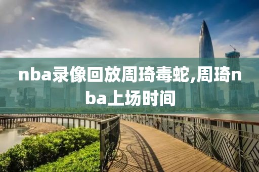 nba录像回放周琦毒蛇,周琦nba上场时间