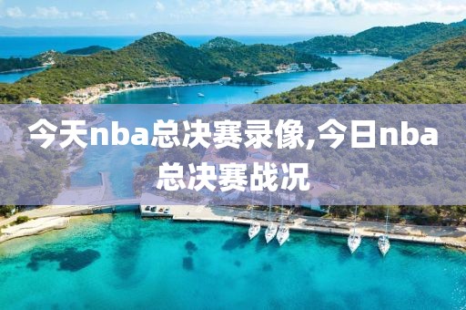 今天nba总决赛录像,今日nba总决赛战况