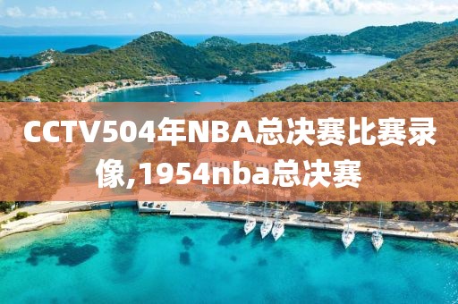 CCTV504年NBA总决赛比赛录像,1954nba总决赛