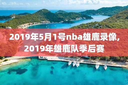 2019年5月1号nba雄鹿录像,2019年雄鹿队季后赛
