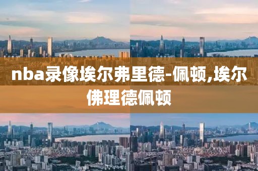 nba录像埃尔弗里德-佩顿,埃尔佛理德佩顿