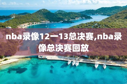 nba录像12一13总决赛,nba录像总决赛回放