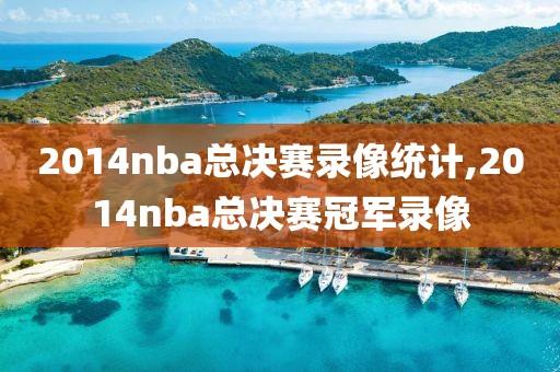 2014nba总决赛录像统计,2014nba总决赛冠军录像