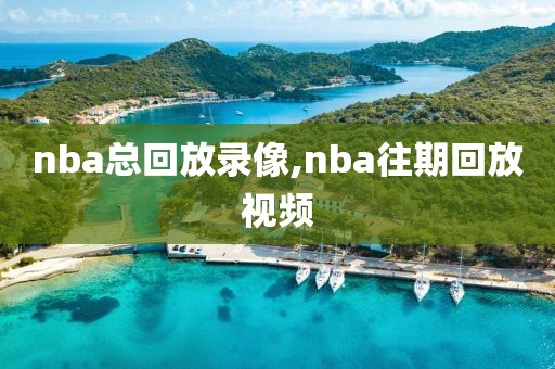 nba总回放录像,nba往期回放视频