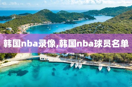 韩国nba录像,韩国nba球员名单