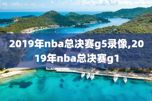 2019年nba总决赛g5录像,2019年nba总决赛g1
