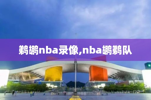 鹈鹕nba录像,nba鹕鹈队