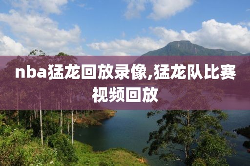 nba猛龙回放录像,猛龙队比赛视频回放
