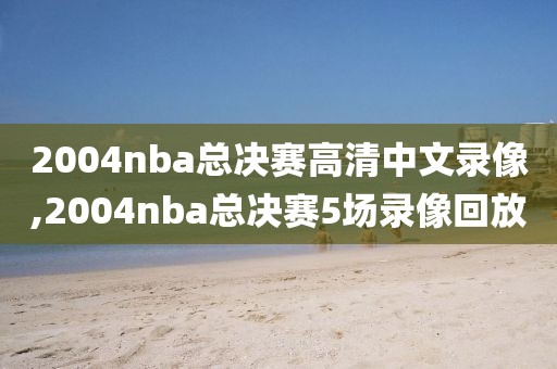 2004nba总决赛高清中文录像,2004nba总决赛5场录像回放