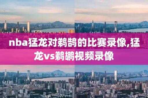 nba猛龙对鹈鹄的比赛录像,猛龙vs鹈鹕视频录像
