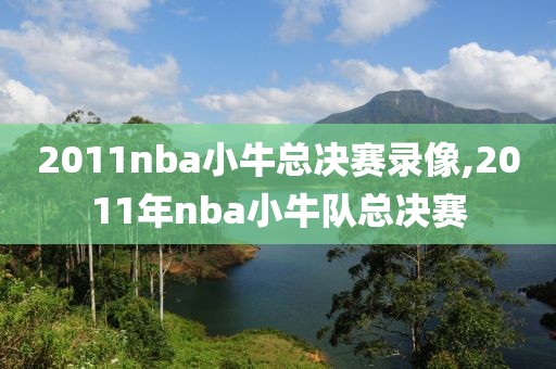 2011nba小牛总决赛录像,2011年nba小牛队总决赛