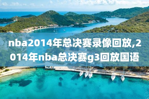 nba2014年总决赛录像回放,2014年nba总决赛g3回放国语