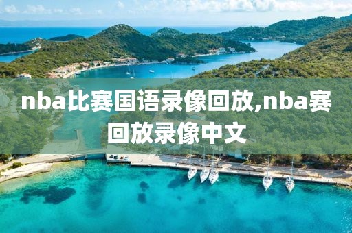nba比赛国语录像回放,nba赛回放录像中文