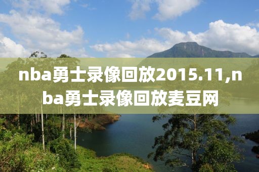 nba勇士录像回放2015.11,nba勇士录像回放麦豆网