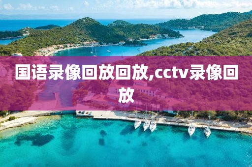 国语录像回放回放,cctv录像回放