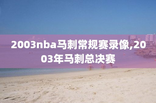 2003nba马刺常规赛录像,2003年马刺总决赛