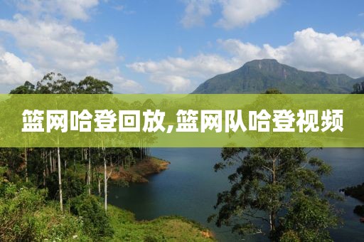 篮网哈登回放,篮网队哈登视频