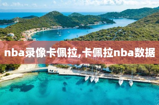 nba录像卡佩拉,卡佩拉nba数据