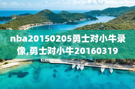 nba20150205勇士对小牛录像,勇士对小牛20160319