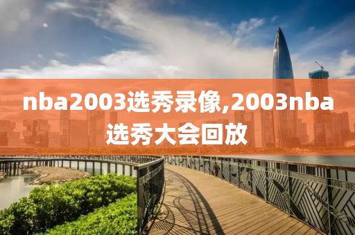 nba2003选秀录像,2003nba选秀大会回放