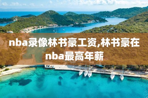 nba录像林书豪工资,林书豪在nba最高年薪