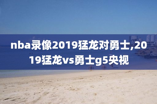 nba录像2019猛龙对勇士,2019猛龙vs勇士g5央视