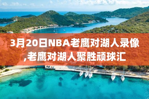 3月20日NBA老鹰对湖人录像,老鹰对湖人聚胜顽球汇