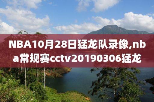 NBA10月28日猛龙队录像,nba常规赛cctv20190306猛龙
