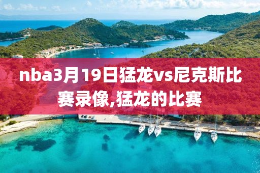 nba3月19日猛龙vs尼克斯比赛录像,猛龙的比赛