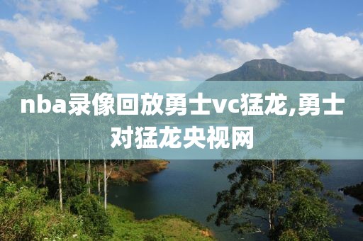 nba录像回放勇士vc猛龙,勇士对猛龙央视网