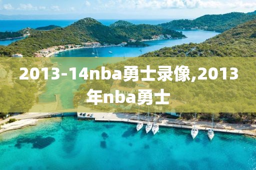 2013-14nba勇士录像,2013年nba勇士