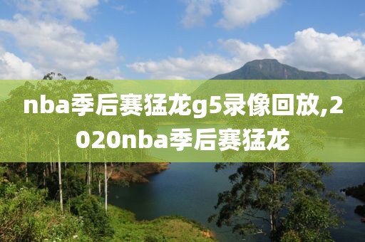 nba季后赛猛龙g5录像回放,2020nba季后赛猛龙