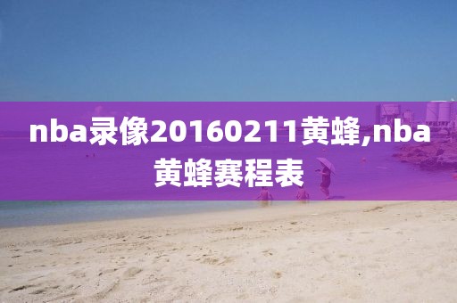 nba录像20160211黄蜂,nba黄蜂赛程表