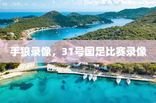 手狼录像，31号国足比赛录像