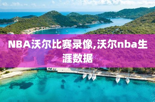 NBA沃尔比赛录像,沃尔nba生涯数据